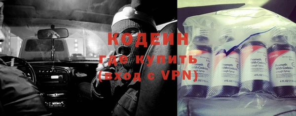 индика Балабаново