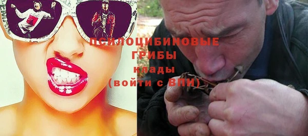 индика Балабаново