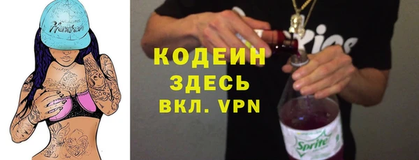 индика Балабаново