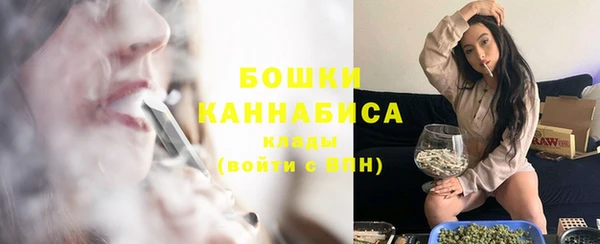 PSILOCYBIN Баксан