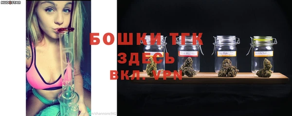 PSILOCYBIN Баксан