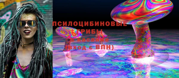 PSILOCYBIN Баксан