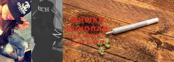 индика Балабаново