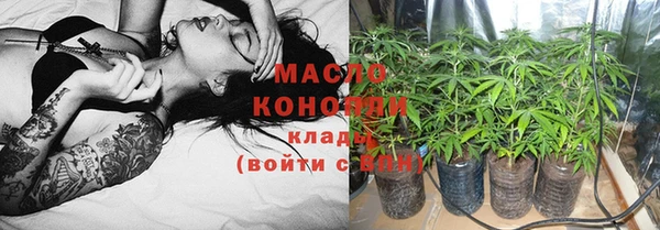 индика Балабаново