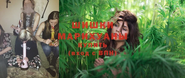 PSILOCYBIN Баксан