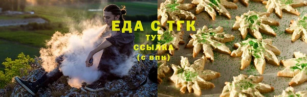 индика Балабаново