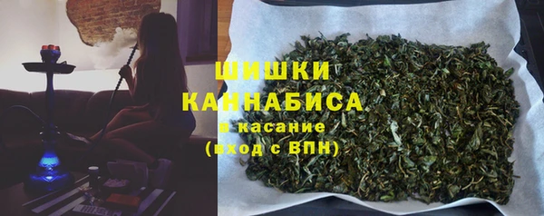 индика Балабаново